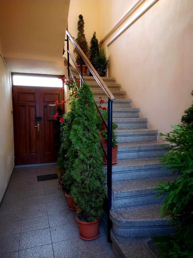 Villa Casa Ioana Brasov Exterior photo