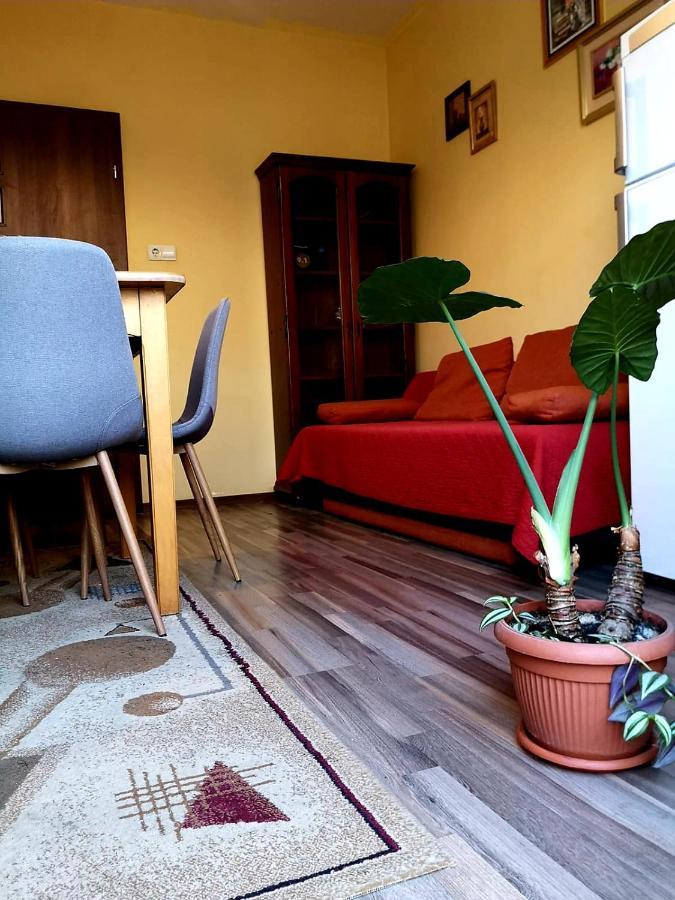 Villa Casa Ioana Brasov Room photo